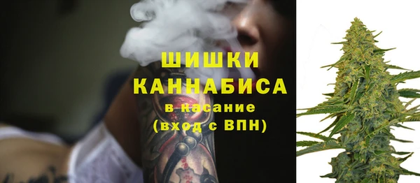 амф Володарск