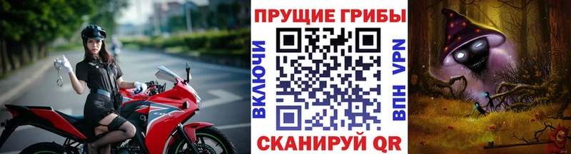 Галлюциногенные грибы Magic Shrooms  Купить где  Олонец 